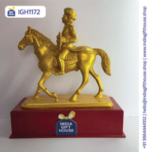 IGH1172